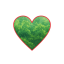 Cielo Verde Orgánico Logo